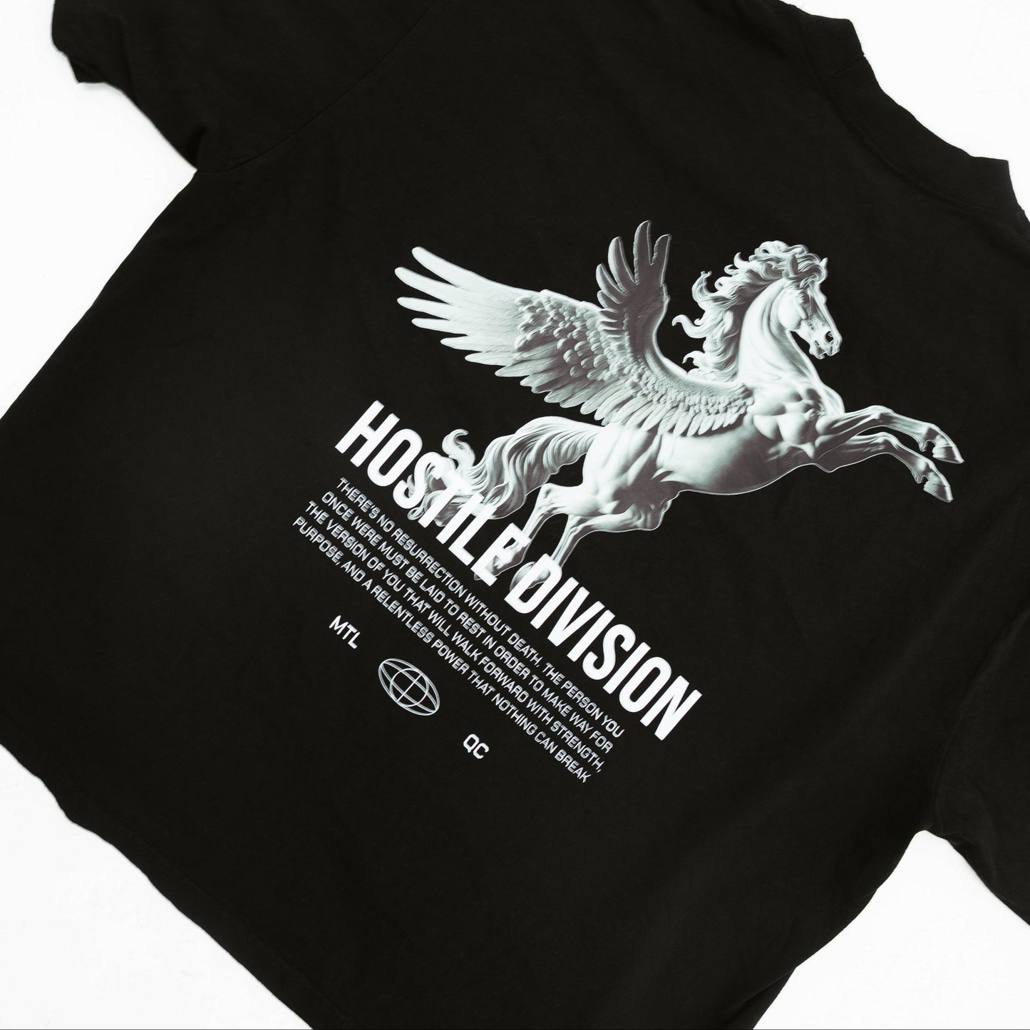 PEGASUS