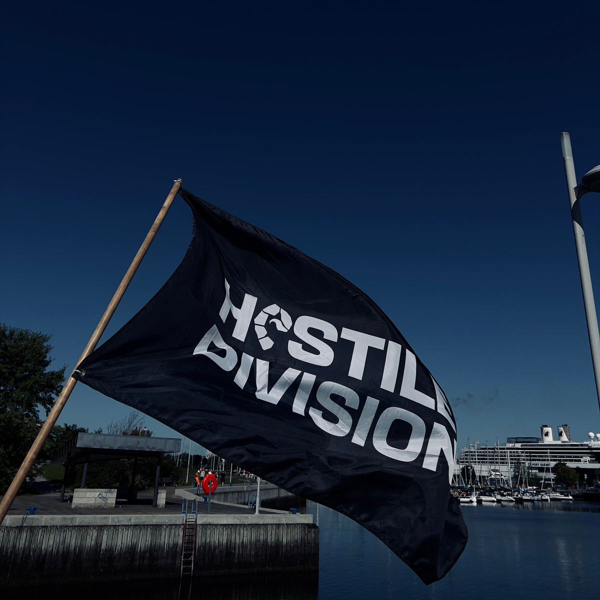 HOSTILE DIVISON FLAG
